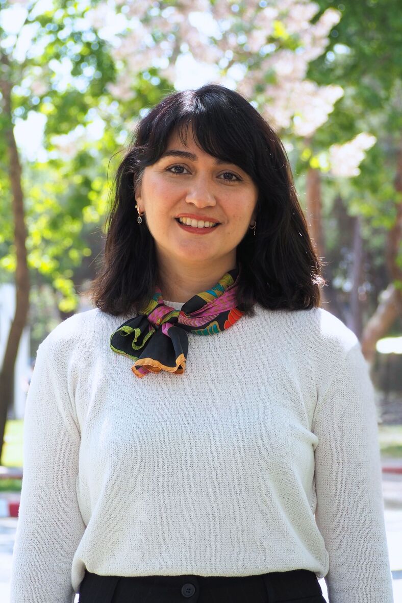 Dr. Öğr. Üyesi Elvan Arıkan İyilikci